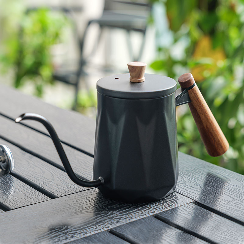 Stainless Steel Gooseneck Kettle Black Portable Coffee Kettle with Thermometer 1CP2418